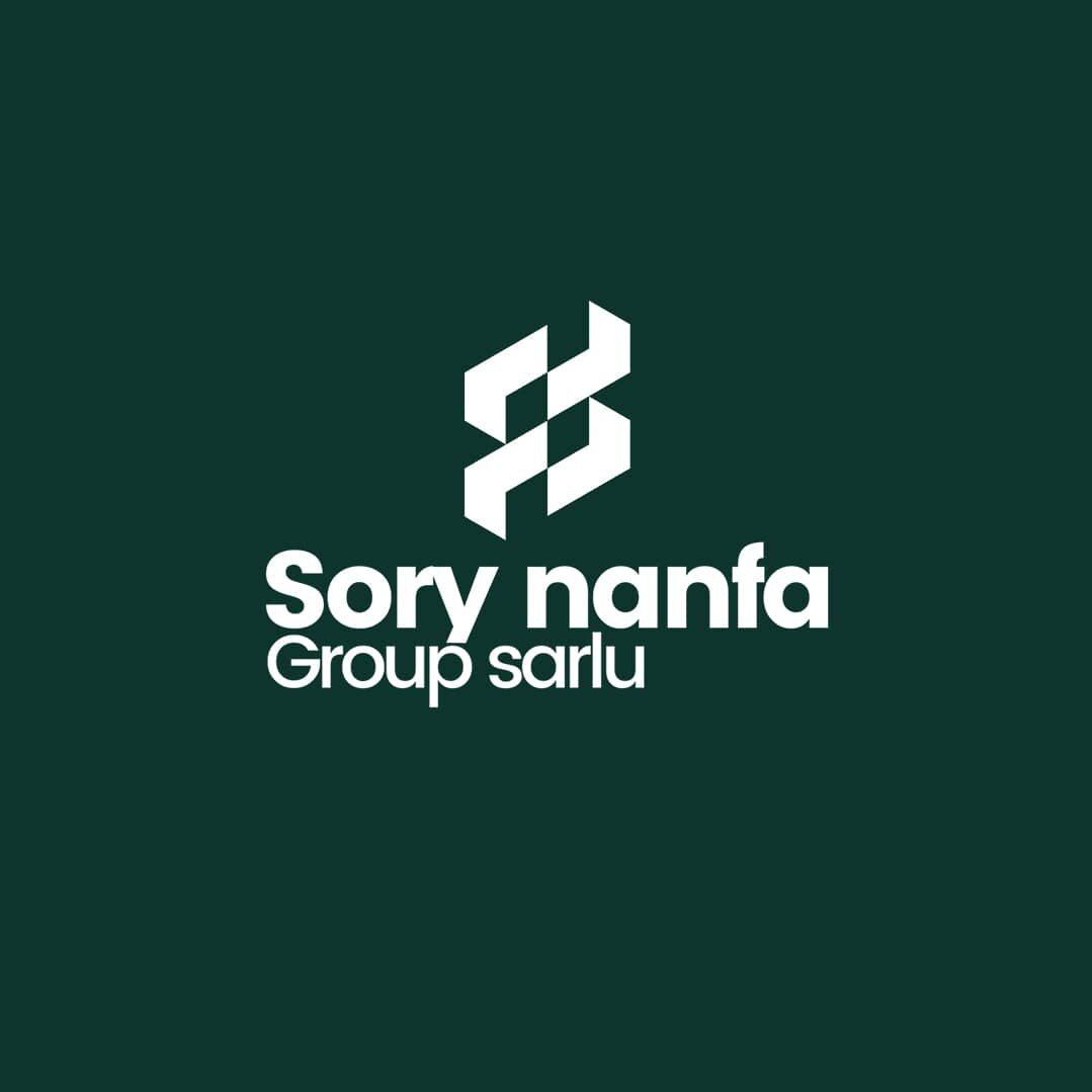 sorynanfagroup.com